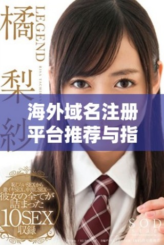 海外域名注冊平臺推薦與指南選購注意事項解析