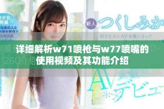 詳細(xì)解析w71噴槍與w77噴嘴的使用視頻及其功能介紹