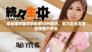 探索國內(nèi)提供的免費CRM系統(tǒng)，助力企業(yè)高效管理客戶關(guān)系