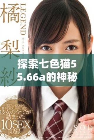 探索七色貓55.66a的神秘世界與獨特魅力