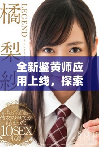 全新鑒黃師應(yīng)用上線，探索網(wǎng)絡(luò)內(nèi)容安全的新方式與新技術(shù)