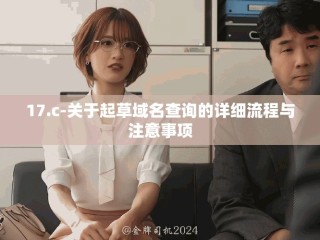 17.c-關于起草域名查詢的詳細流程與注意事項