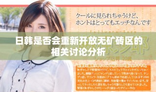 日韓是否會重新開放無礦磚區(qū)的相關討論分析