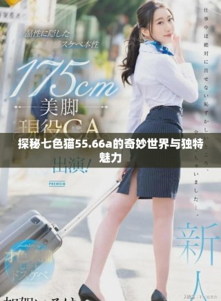 探秘七色貓55.66a的奇妙世界與獨特魅力