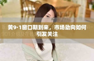 黃9·1窗口期到來，市場動向如何引發(fā)關(guān)注