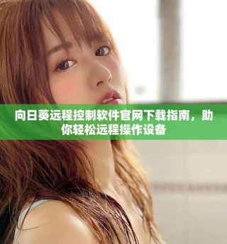 向日葵遠程控制軟件官網(wǎng)下載指南，助你輕松遠程操作設備