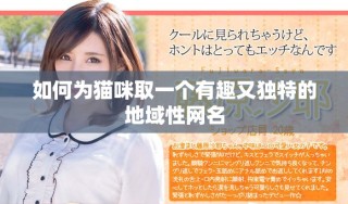 如何為貓咪取一個有趣又獨特的地域性網(wǎng)名