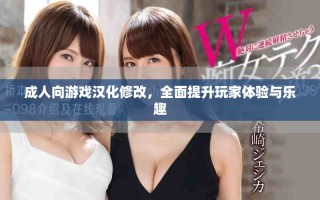 成人向游戲漢化修改，全面提升玩家體驗與樂趣