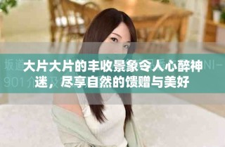 大片大片的豐收景象令人心醉神迷，盡享自然的饋贈(zèng)與美好