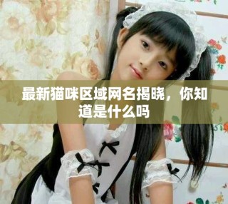 最新貓咪區(qū)域網(wǎng)名揭曉，你知道是什么嗎