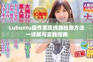 Lubuntu操作系統(tǒng)線路檢測(cè)方法一詳解與實(shí)踐指南