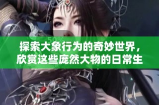 探索大象行為的奇妙世界，欣賞這些龐然大物的日常生活錄像