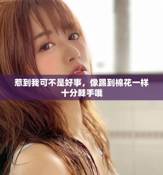 惹到我可不是好事，像踢到棉花一樣十分棘手哦