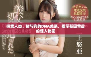 探索人類、豬與狗的DNA關系，揭示基因背后的驚人秘密