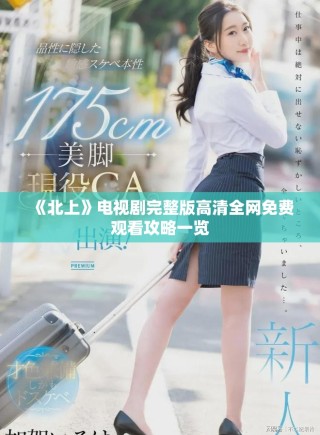 《北上》電視劇完整版高清全網(wǎng)免費觀看攻略一覽