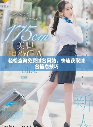 輕松查詢免費(fèi)域名網(wǎng)站，快速獲取域名信息技巧