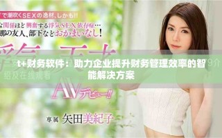 t+財(cái)務(wù)軟件：助力企業(yè)提升財(cái)務(wù)管理效率的智能解決方案