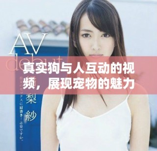 真實(shí)狗與人互動(dòng)的視頻，展現(xiàn)寵物的魅力和溫暖