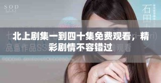 北上劇集一到四十集免費(fèi)觀看，精彩劇情不容錯過