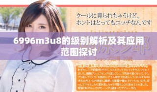 6996m3u8的級別解析及其應(yīng)用范圍探討