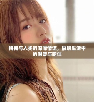 狗狗與人類的深厚情誼，展現(xiàn)生活中的溫暖與陪伴