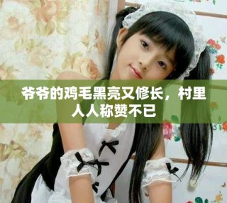 爺爺?shù)碾u毛黑亮又修長，村里人人稱贊不已