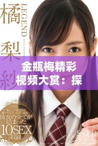 金瓶梅精彩視頻大賞：探索古典文學(xué)的視覺(jué)魅力與深刻內(nèi)涵