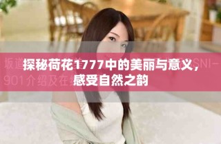 探秘荷花1777中的美麗與意義，感受自然之韻