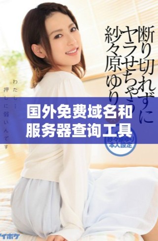國(guó)外免費(fèi)域名和服務(wù)器查詢(xún)工具推薦及使用指南