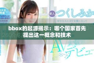 bbox的起源揭示：哪個國家首先提出這一概念和技術(shù)
