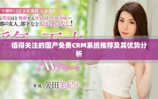 值得關(guān)注的國產(chǎn)免費(fèi)CRM系統(tǒng)推薦及其優(yōu)勢分析
