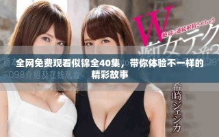 全網(wǎng)免費(fèi)觀看似錦全40集，帶你體驗(yàn)不一樣的精彩故事