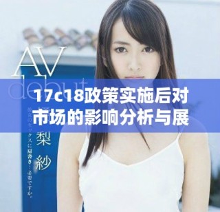 17c18政策實(shí)施后對(duì)市場(chǎng)的影響分析與展望