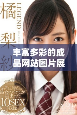 豐富多彩的成品網(wǎng)站圖片展示與創(chuàng)意插圖欣賞