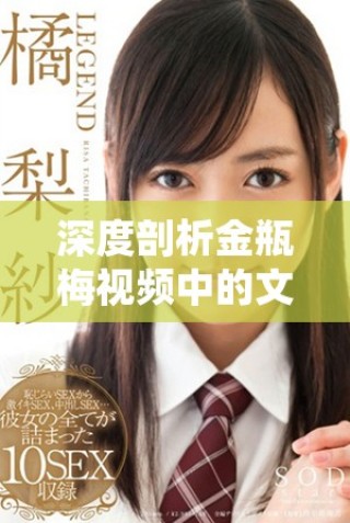 深度剖析金瓶梅視頻中的文化內涵與藝術表現(xiàn)形式