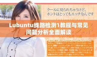 Lubuntu線路檢測(cè)1教程與常見問題分析全面解讀