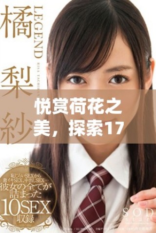 悅賞荷花之美，探索1777年影視文化的魅力與回顧