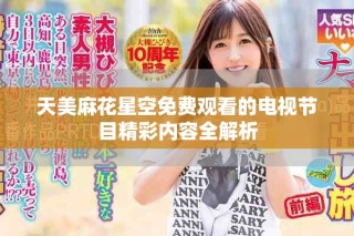 天美麻花星空免費觀看的電視節(jié)目精彩內(nèi)容全解析
