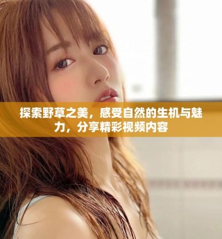 探索野草之美，感受自然的生機與魅力，分享精彩視頻內(nèi)容