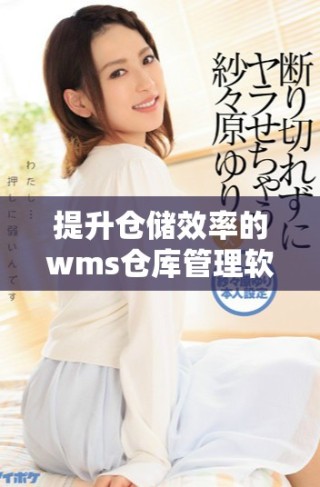 提升倉(cāng)儲(chǔ)效率的wms倉(cāng)庫(kù)管理軟件全面解析與應(yīng)用技巧