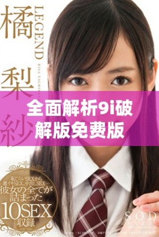 全面解析9i破解版免費版的安裝與使用方法