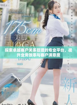 探索卓越客戶關(guān)系管理的專業(yè)平臺，提升業(yè)務(wù)效率與客戶滿意度