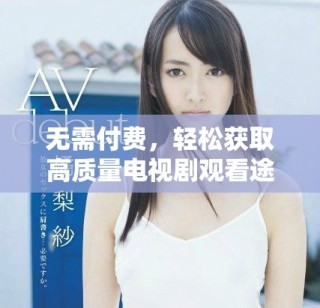 無需付費(fèi)，輕松獲取高質(zhì)量電視劇觀看途徑