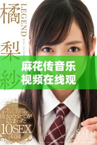 麻花傳音樂視頻在線觀看最新動態(tài)及觀看方式詳解