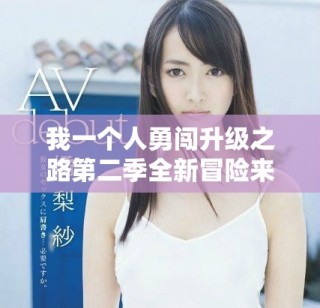 我一個(gè)人勇闖升級之路第二季全新冒險(xiǎn)來襲