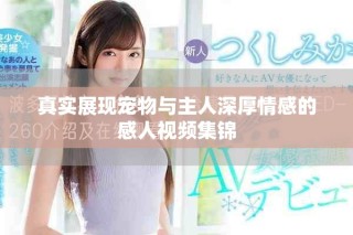 真實展現(xiàn)寵物與主人深厚情感的感人視頻集錦