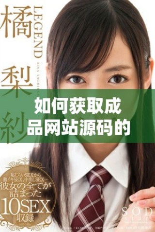 如何獲取成品網(wǎng)站源碼的隱藏入口與通道指南