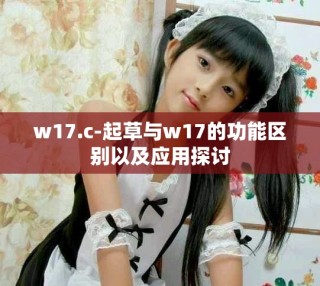 w17.c-起草與w17的功能區(qū)別以及應用探討