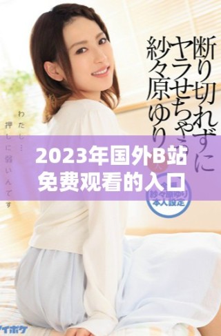 2023年國(guó)外B站免費(fèi)觀看的入口與使用技巧解析