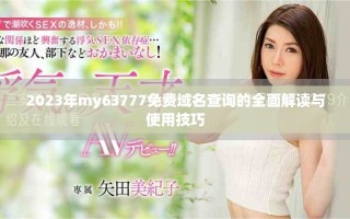 2023年my63777免費(fèi)域名查詢的全面解讀與使用技巧